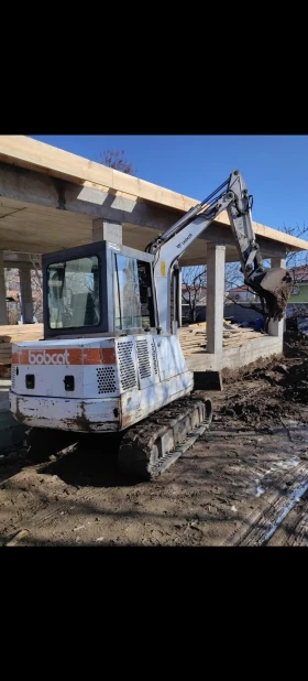      Bobcat Bopkat