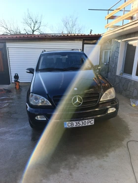 Mercedes-Benz ML 270, снимка 1