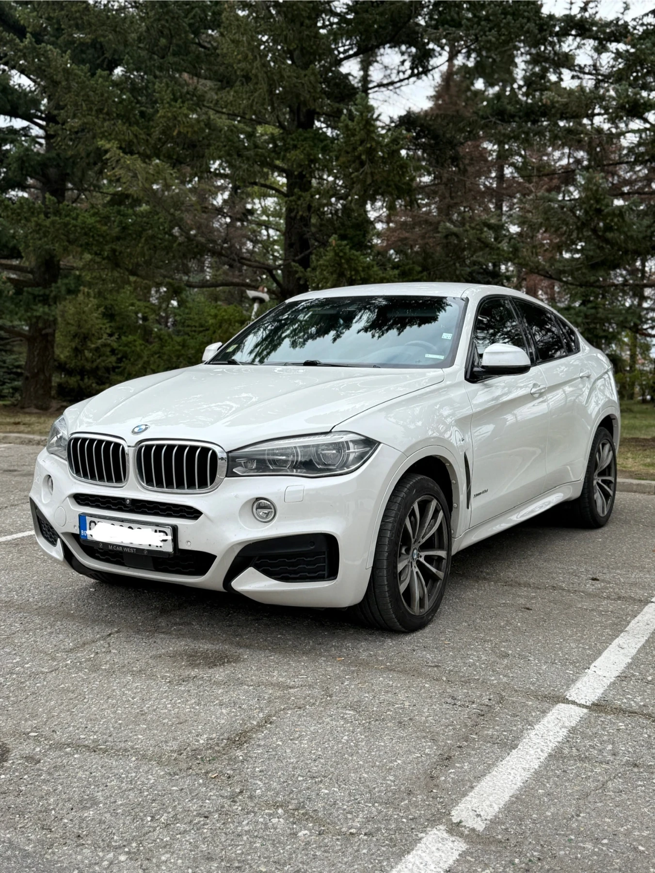 BMW X6 4.0D - изображение 7
