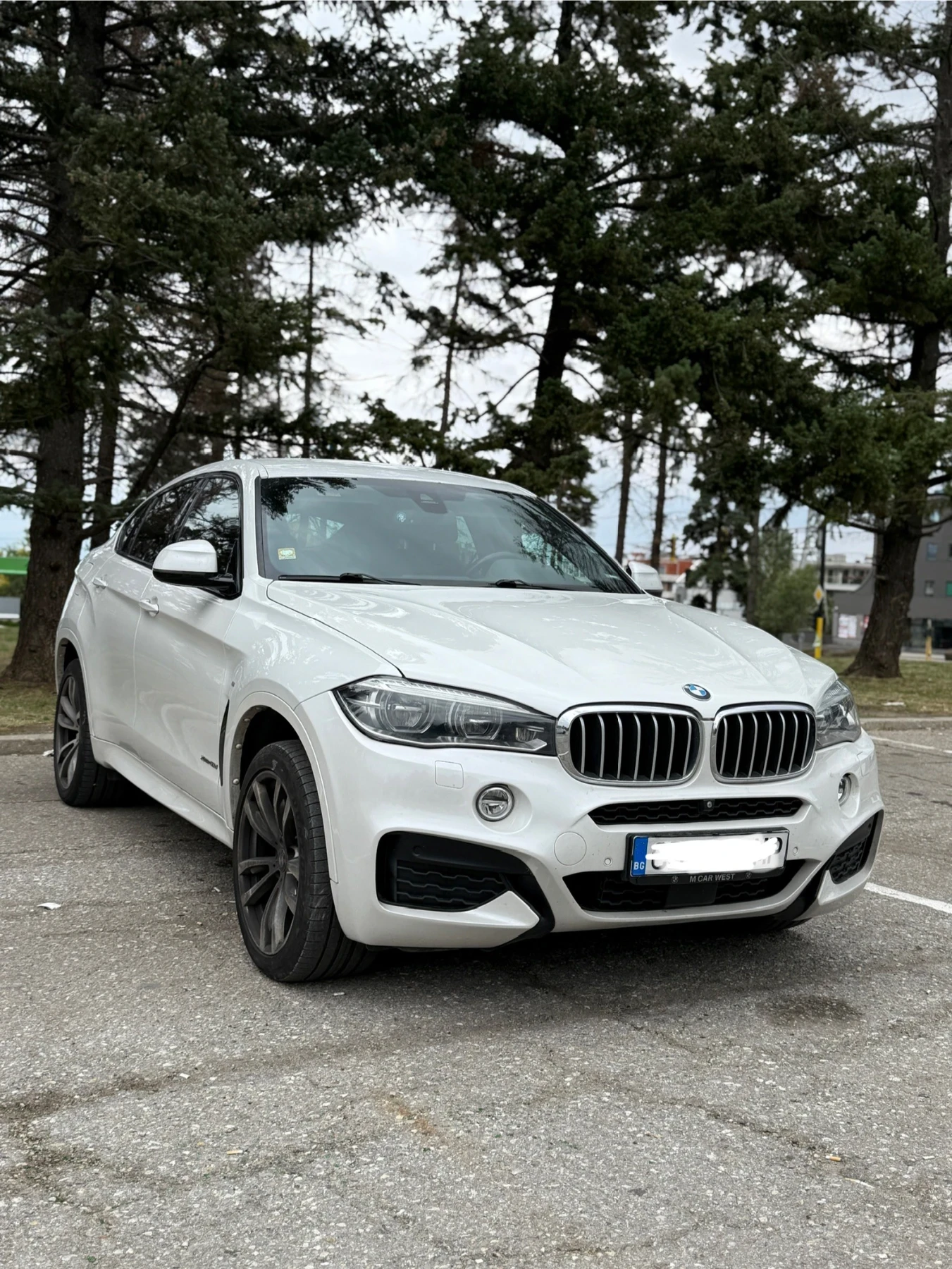 BMW X6 4.0D - изображение 6