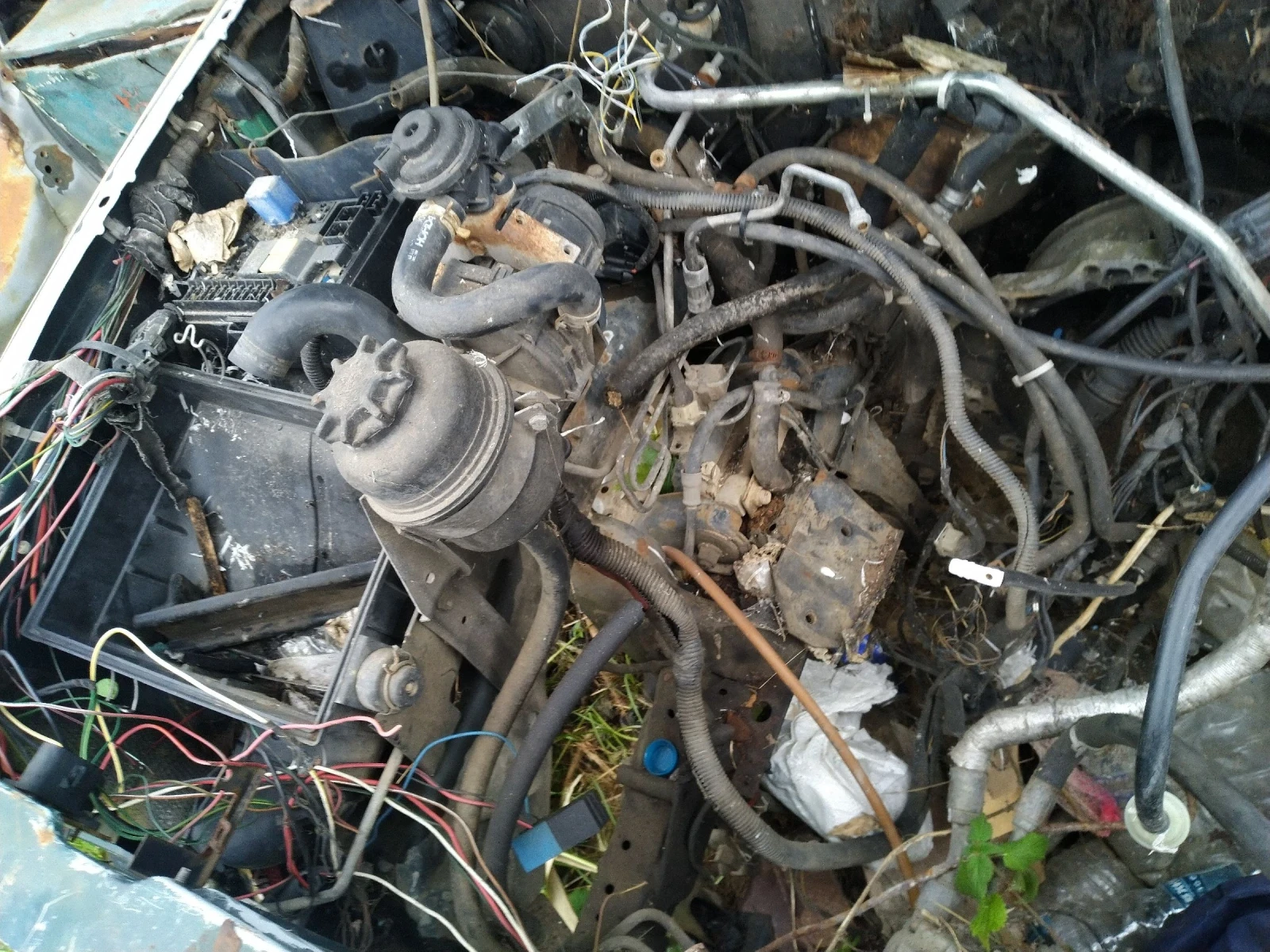 ���� �������� �� �����  | Mobile.bg � ����������� 6