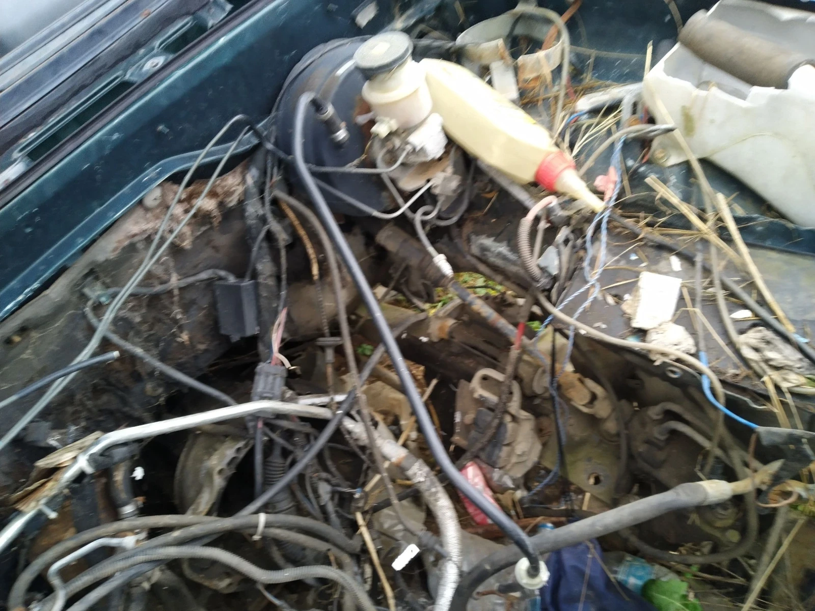 ���� �������� �� �����  | Mobile.bg � ����������� 7