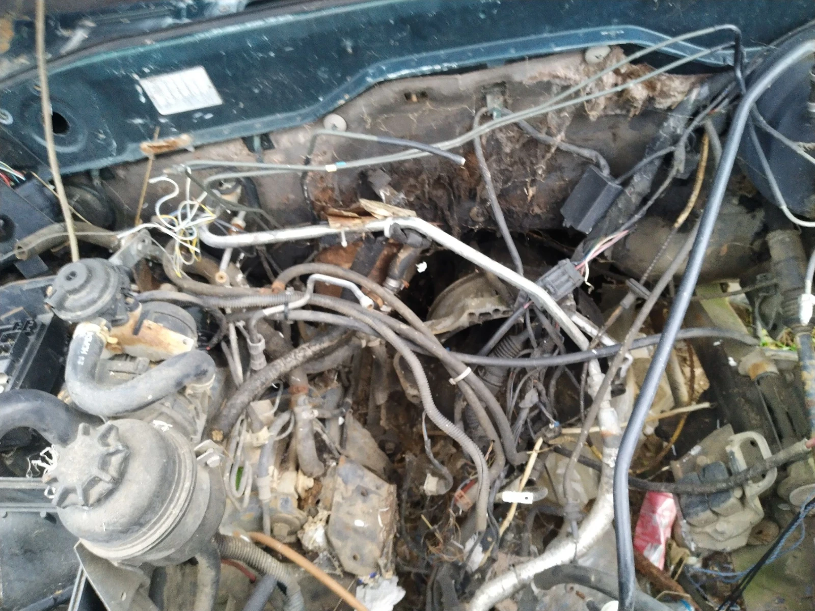 ���� �������� �� �����  | Mobile.bg � ����������� 4