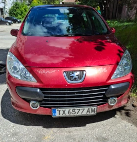  Peugeot 307