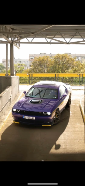Dodge Challenger 6.4 scat pack / / / KOOKS /    | Mobile.bg    5