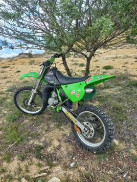 Kawasaki Kx 80 19/16 | Mobile.bg    17
