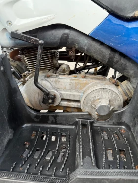 Polaris Phoenix Polaris Phoenix, снимка 7