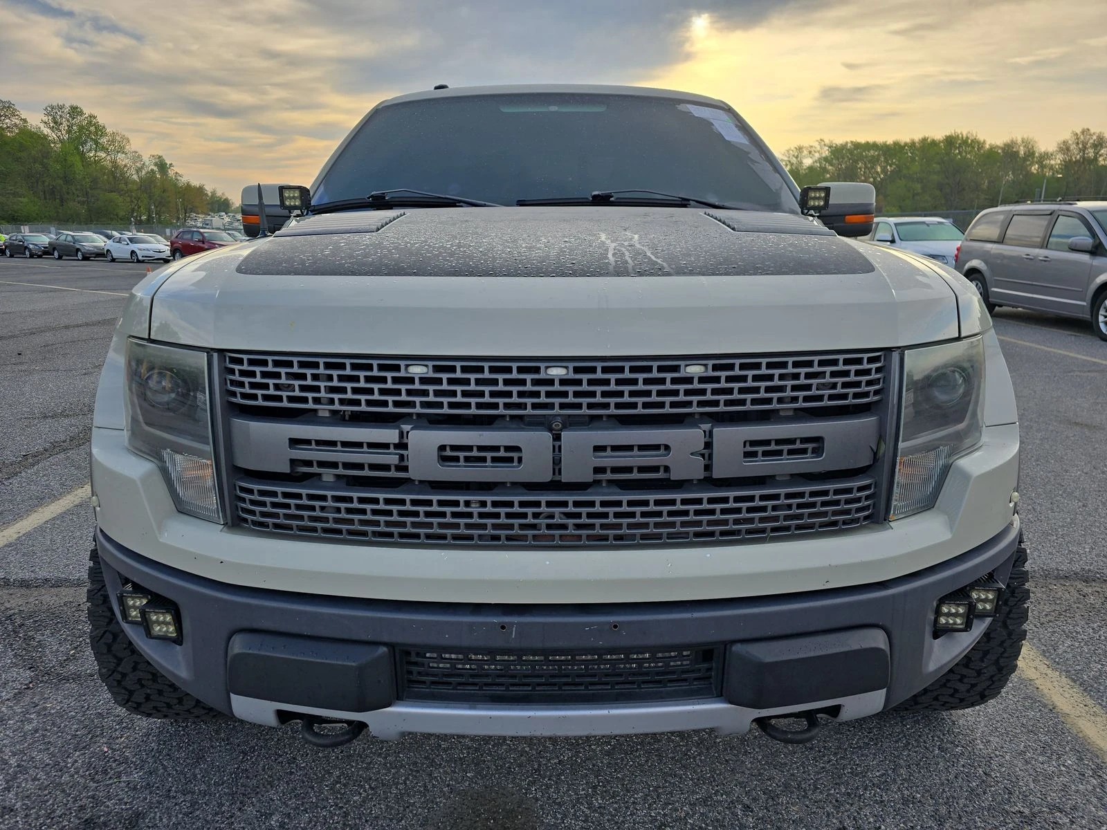 Ford Raptor SVT Raptor Crew Cab Short Bed - изображение 3