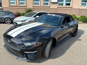 Ford Mustang EcoBoost Convertible CARFAX * * АВТО КРЕДИТ * * 