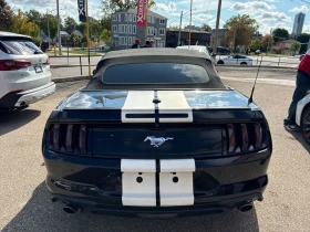 Ford Mustang EcoBoost Convertible CARFAX * * АВТО КРЕДИТ * * - 25000 лв. - 18596358 7