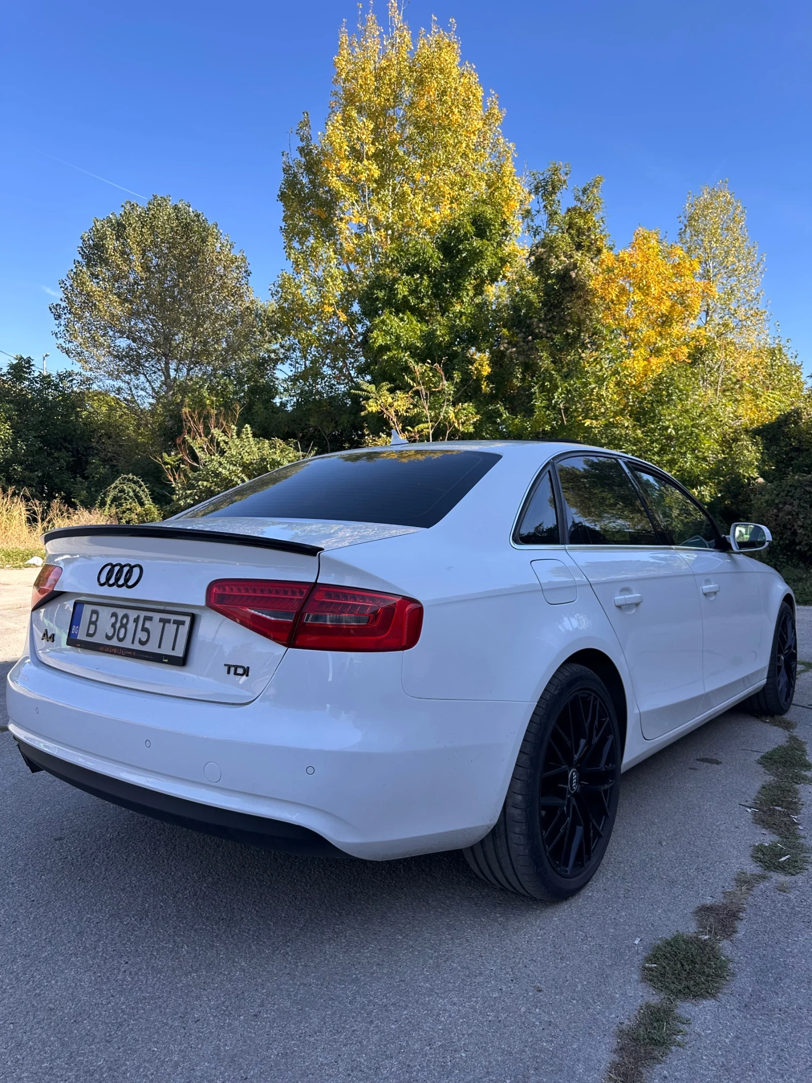Audi A4, снимка 3 - Автомобили и джипове - 56484895
