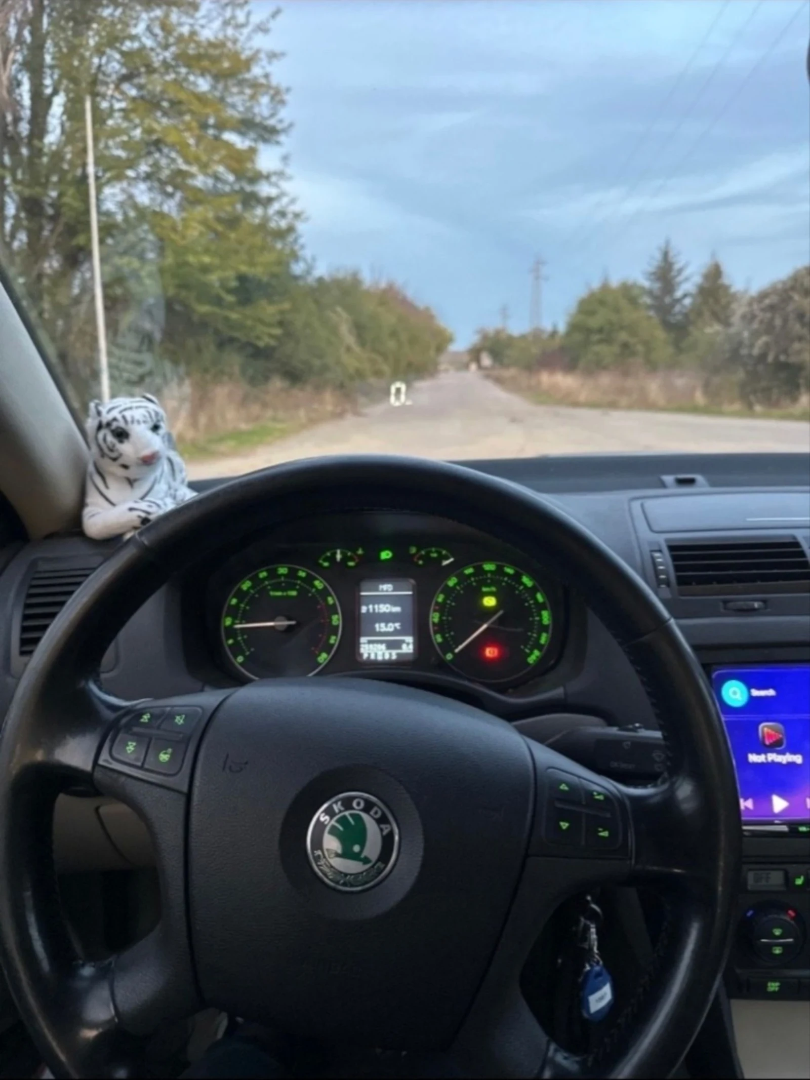 Skoda Octavia 2.0 TDI - изображение 8