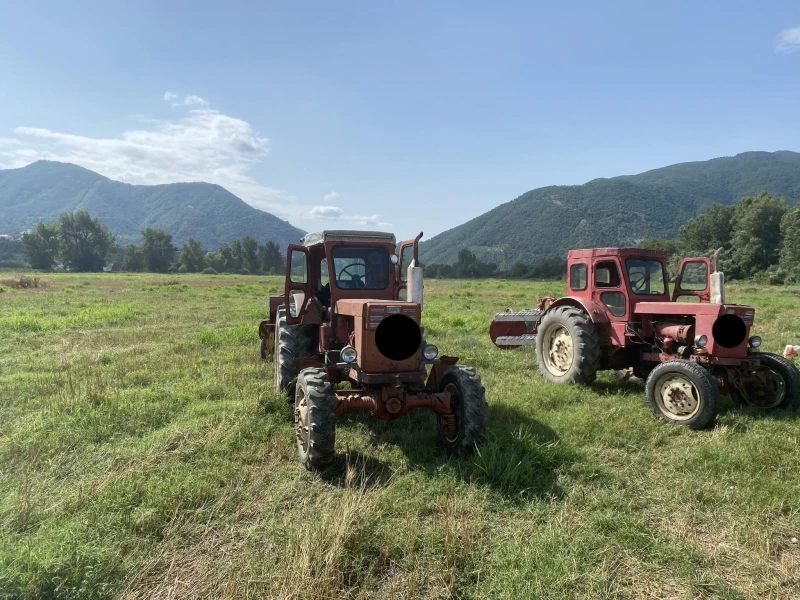 Трактор Т 50, снимка 4 - Селскостопанска техника - 52818141