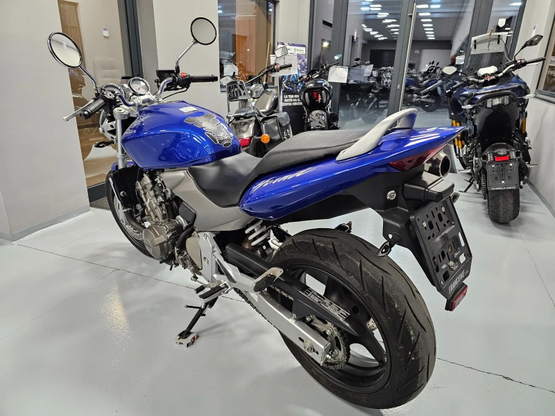 Honda Hornet 600сс, Blue Magic!, снимка 4 - Мотоциклети и мототехника - 49060349