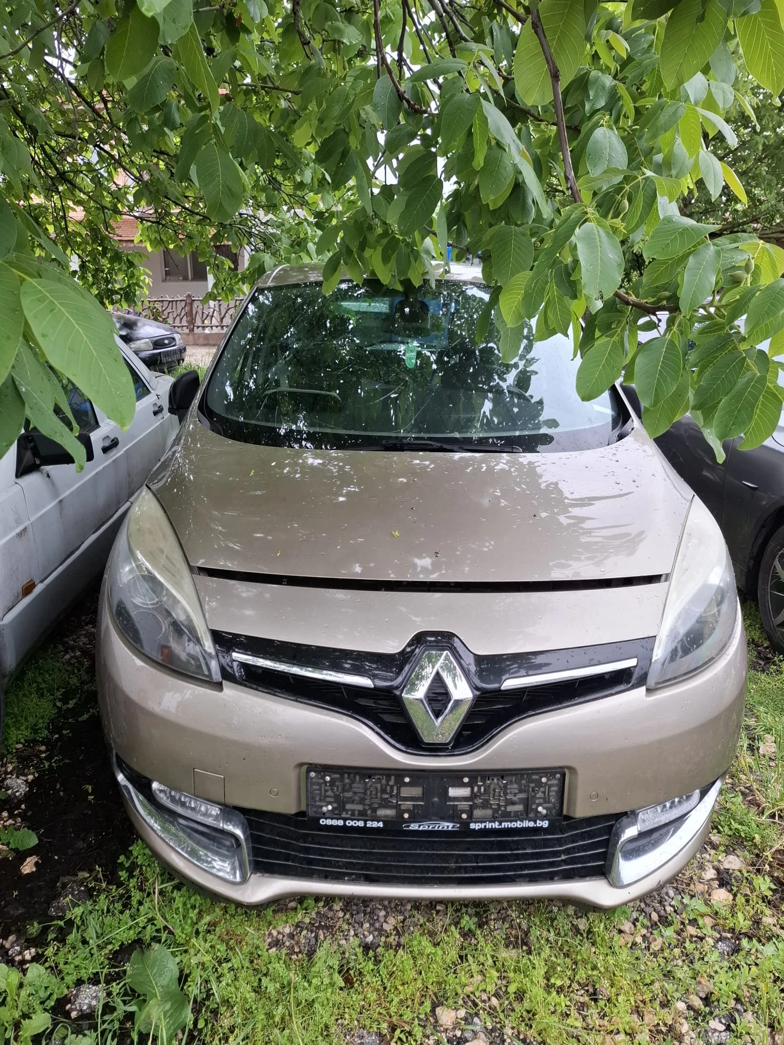 Renault Scenic 1.6 dCi (130kc) start & stop  | Mobile.bg � ����������� 2