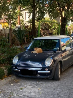     Mini Cooper -    