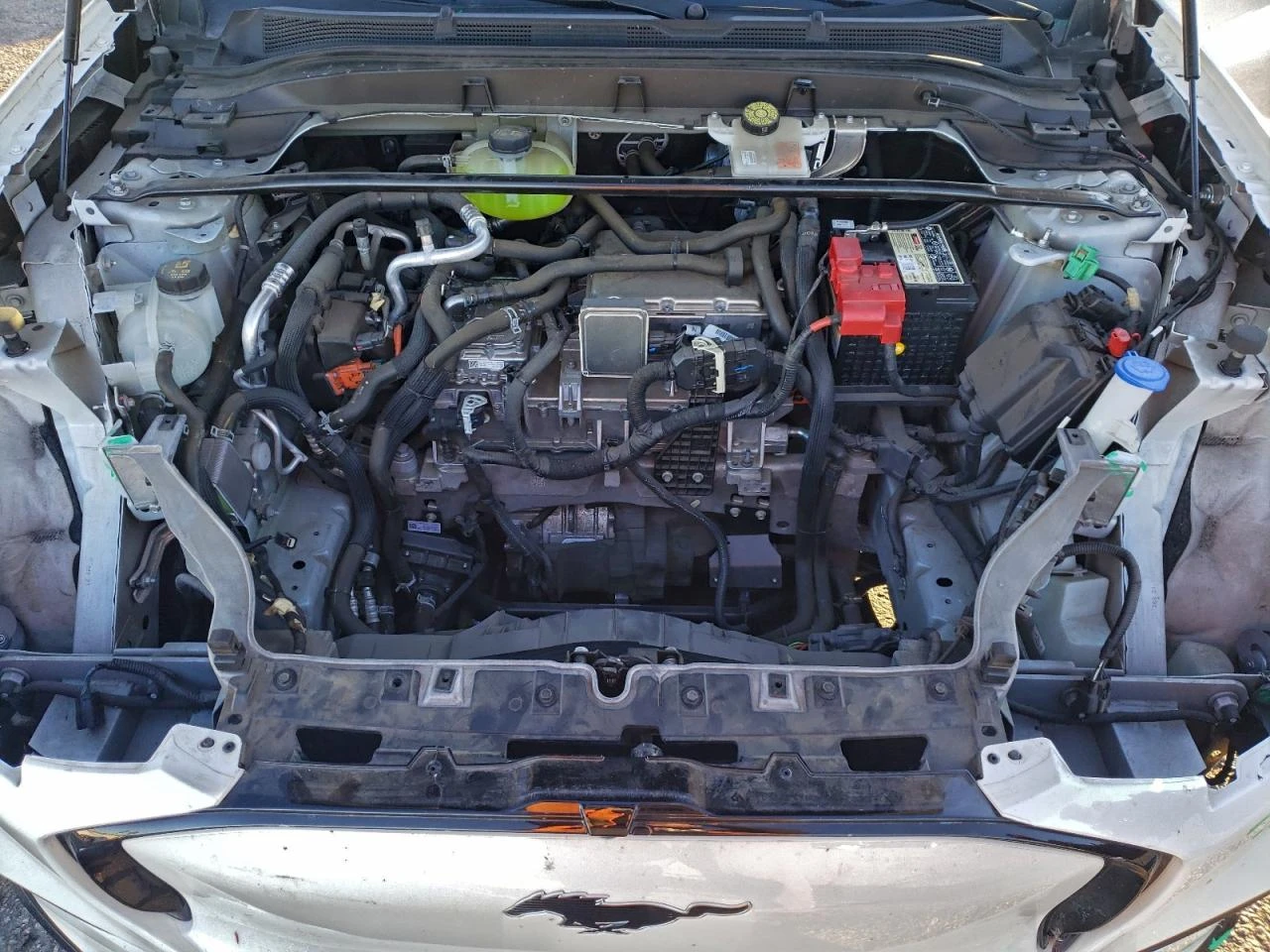 Ford Mustang Mach-E Premium AWD | Mobile.bg � ����������� 12