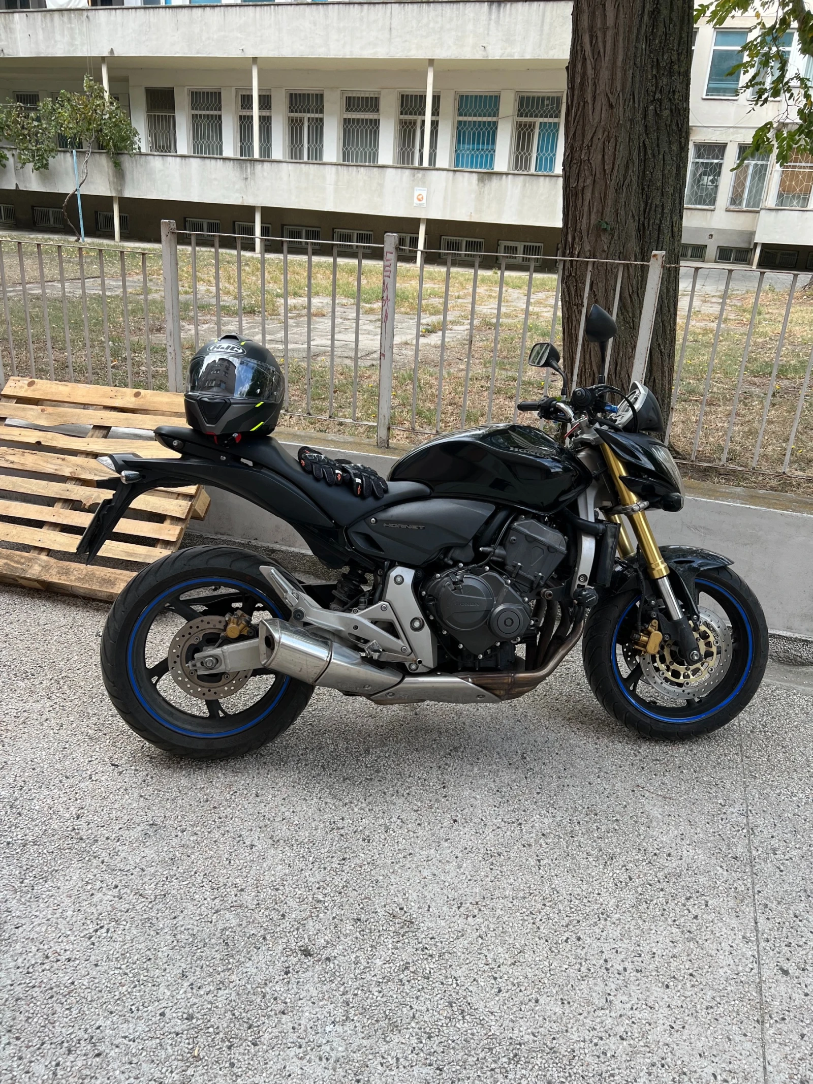 Honda Hornet