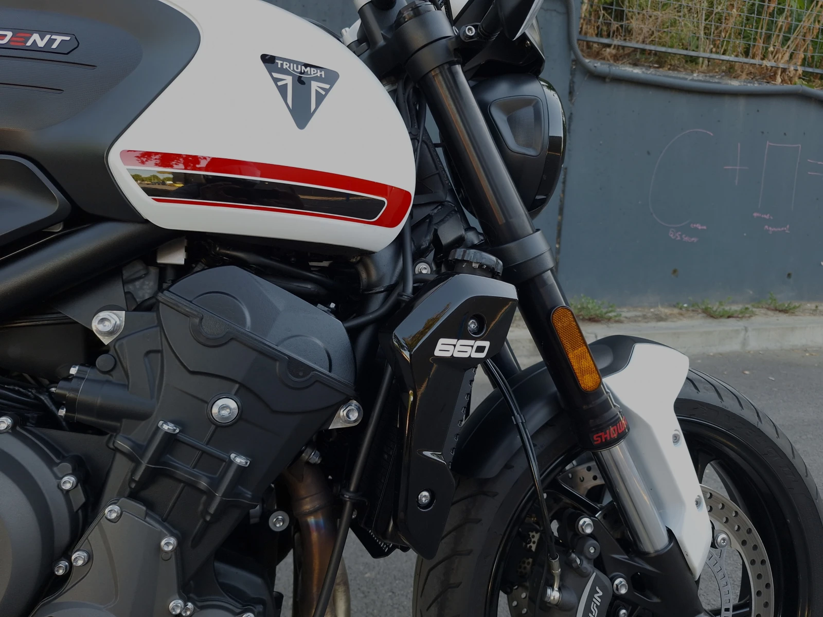 Triumph Trident 660 - изображение 2