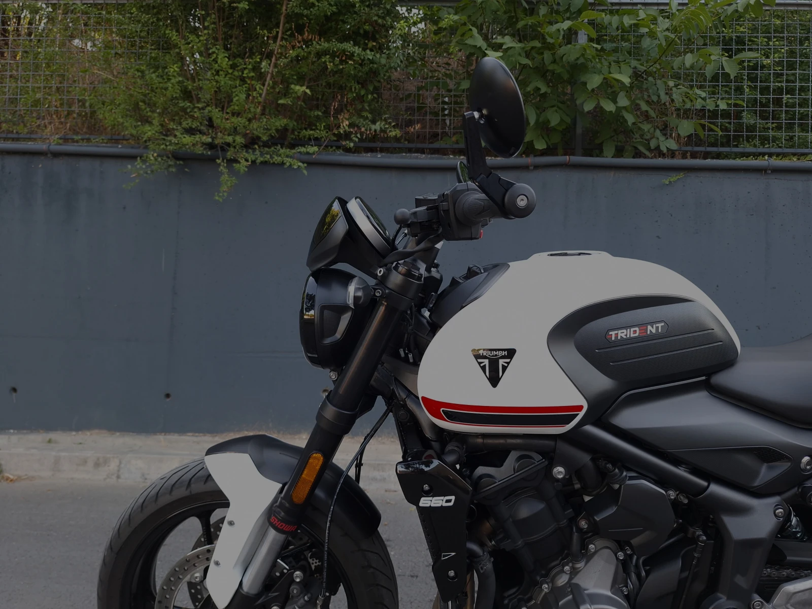 Triumph Trident 660 - изображение 10
