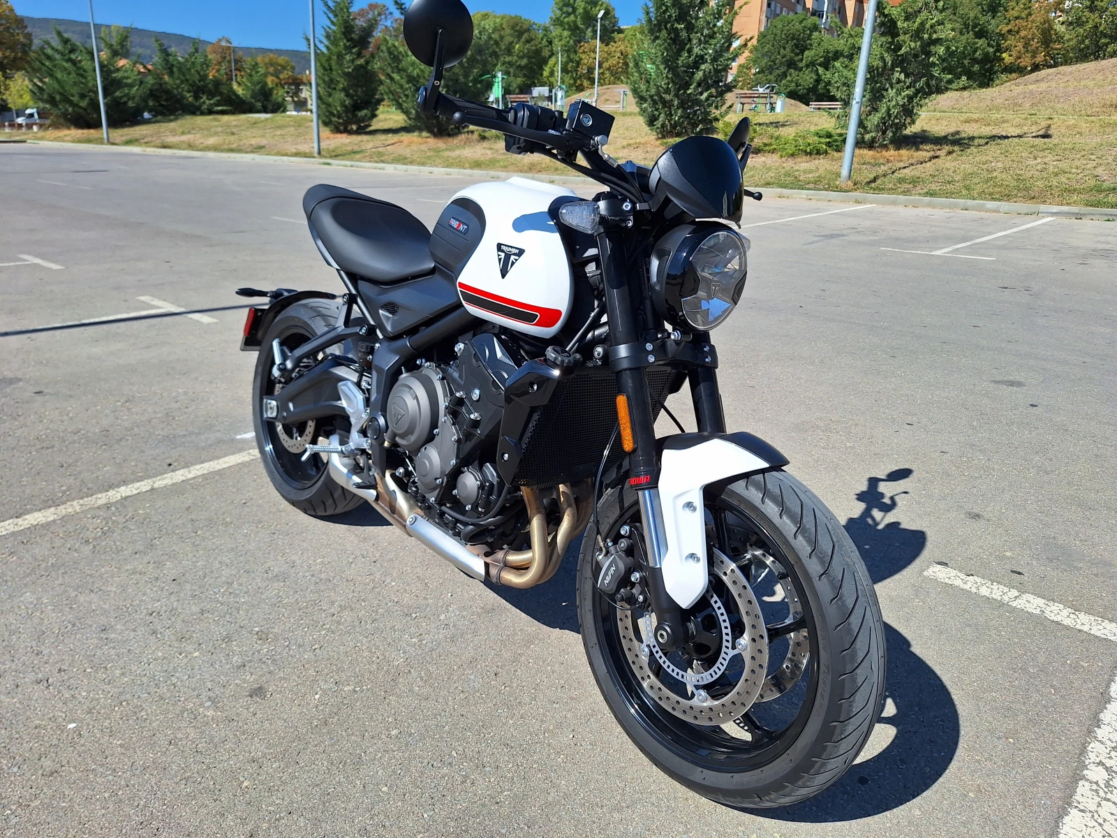 Triumph Trident 660 - изображение 2