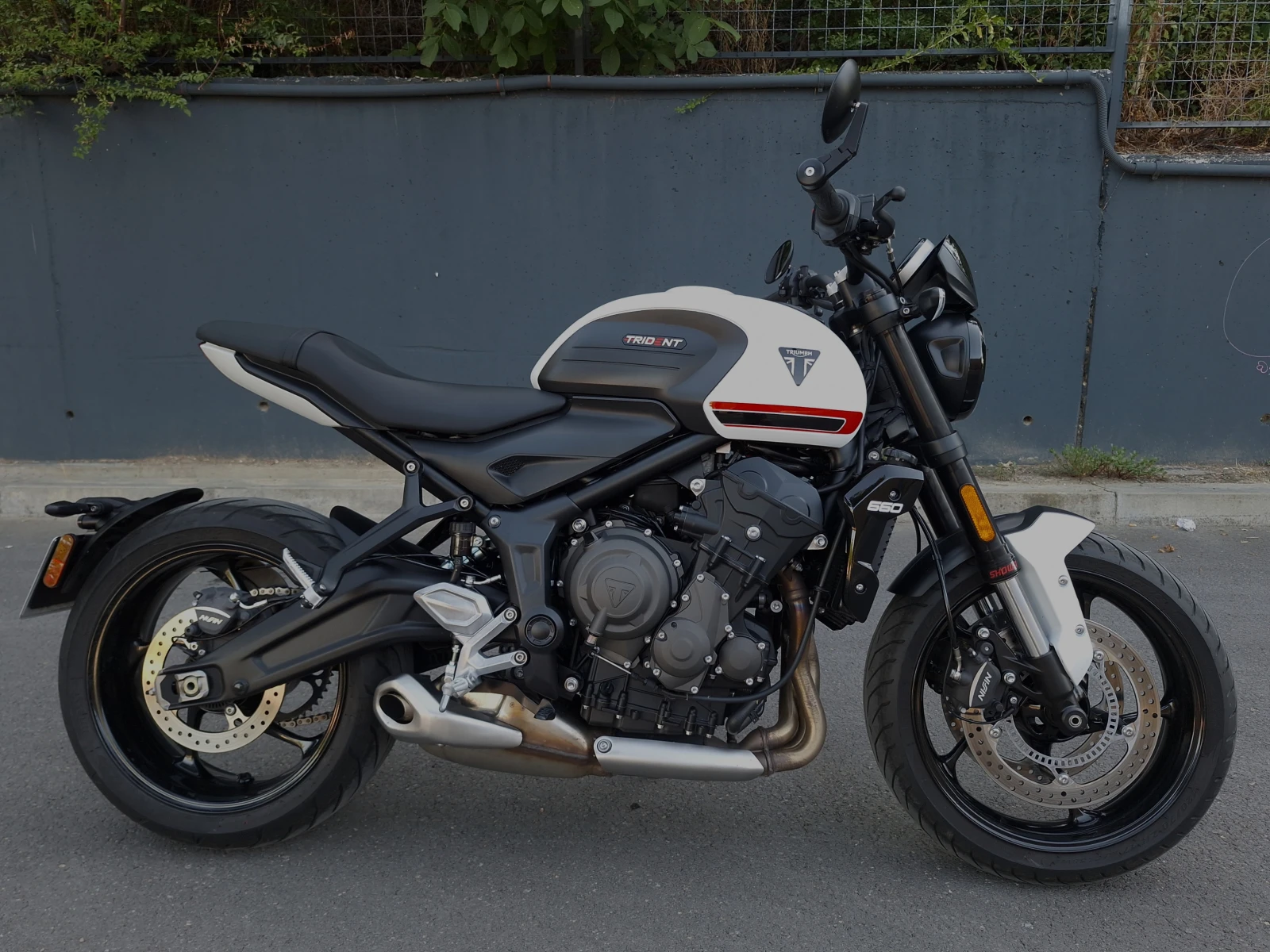Triumph Trident 660 - изображение 3