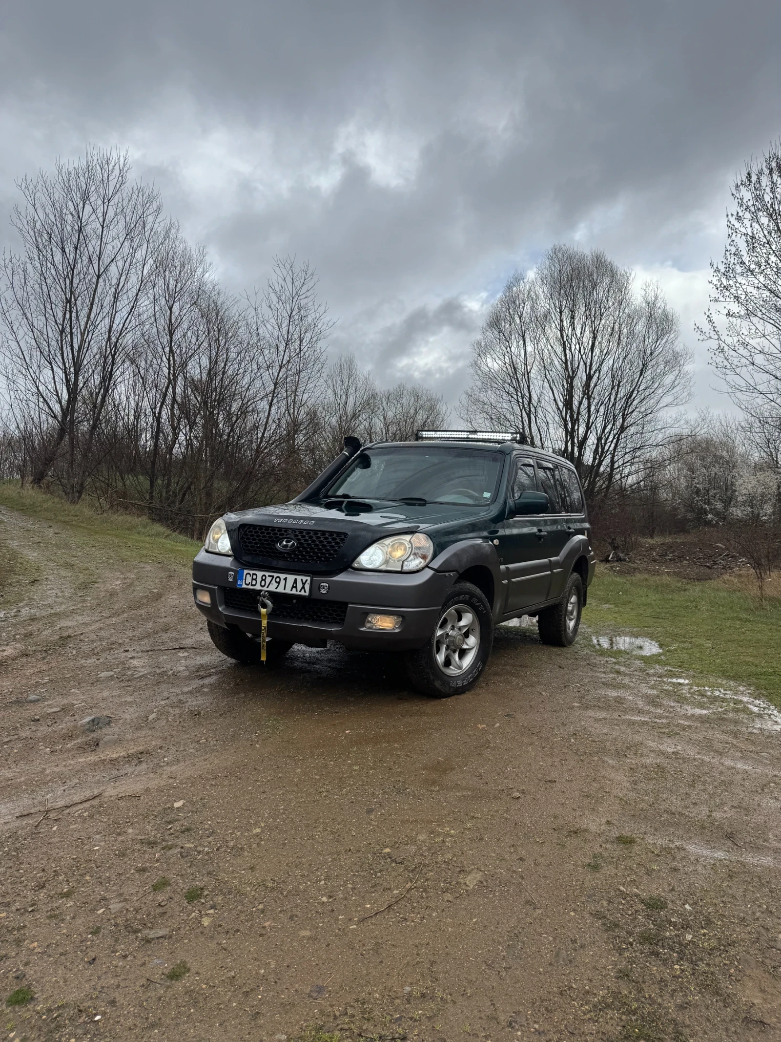 Hyundai Terracan 2.9 -163 , снимка 2 - Автомобили и джипове - 54087969