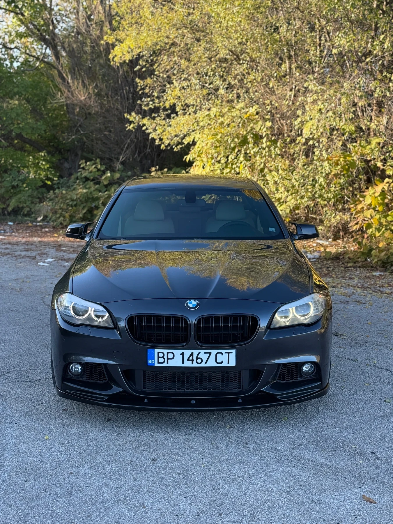 BMW 530 xD/M PACK/360/COMFORT, снимка 1