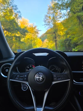 Alfa Romeo Stelvio, снимка 4