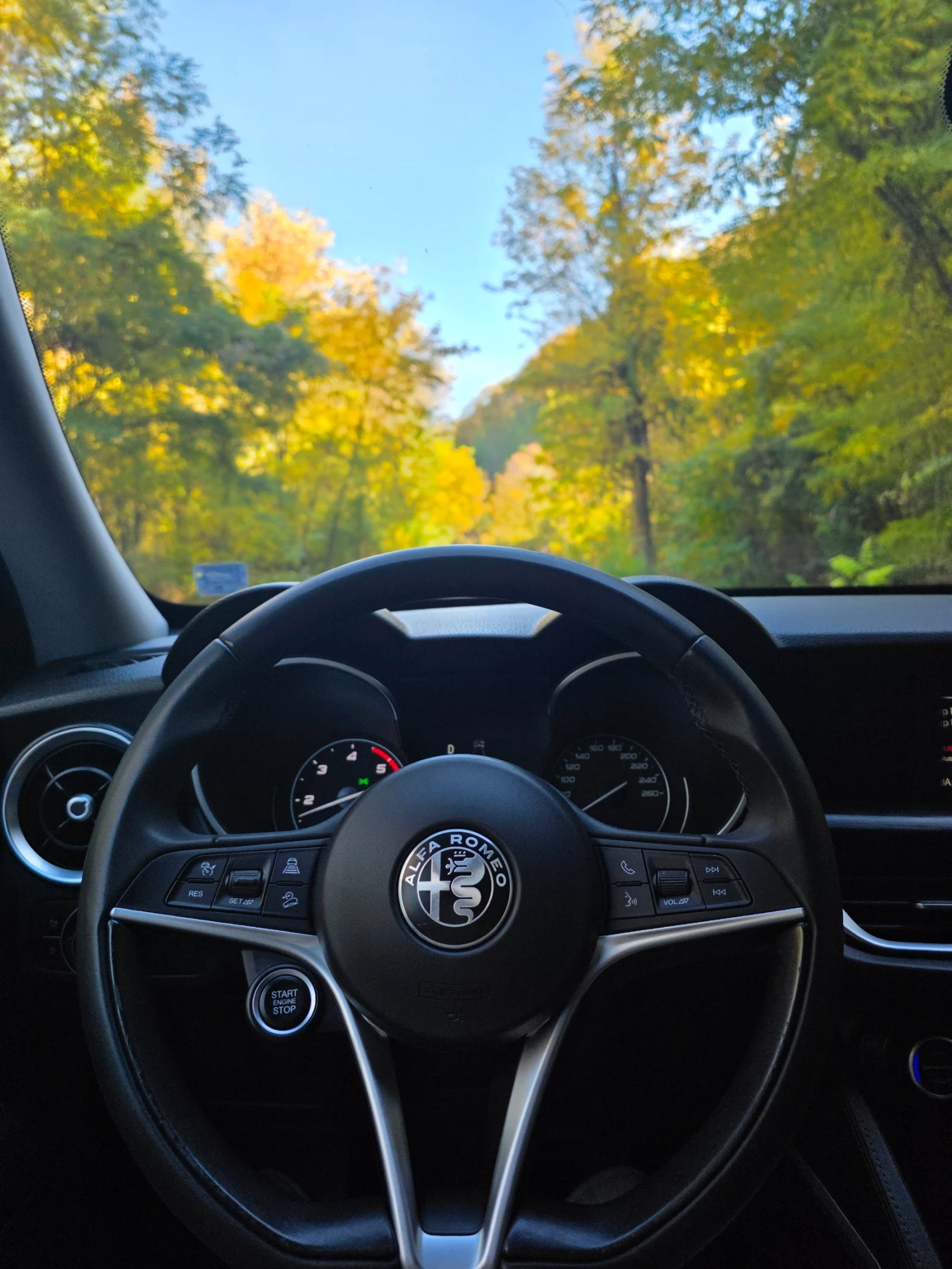 Alfa Romeo Stelvio, снимка 4 - Автомобили и джипове - 56068514