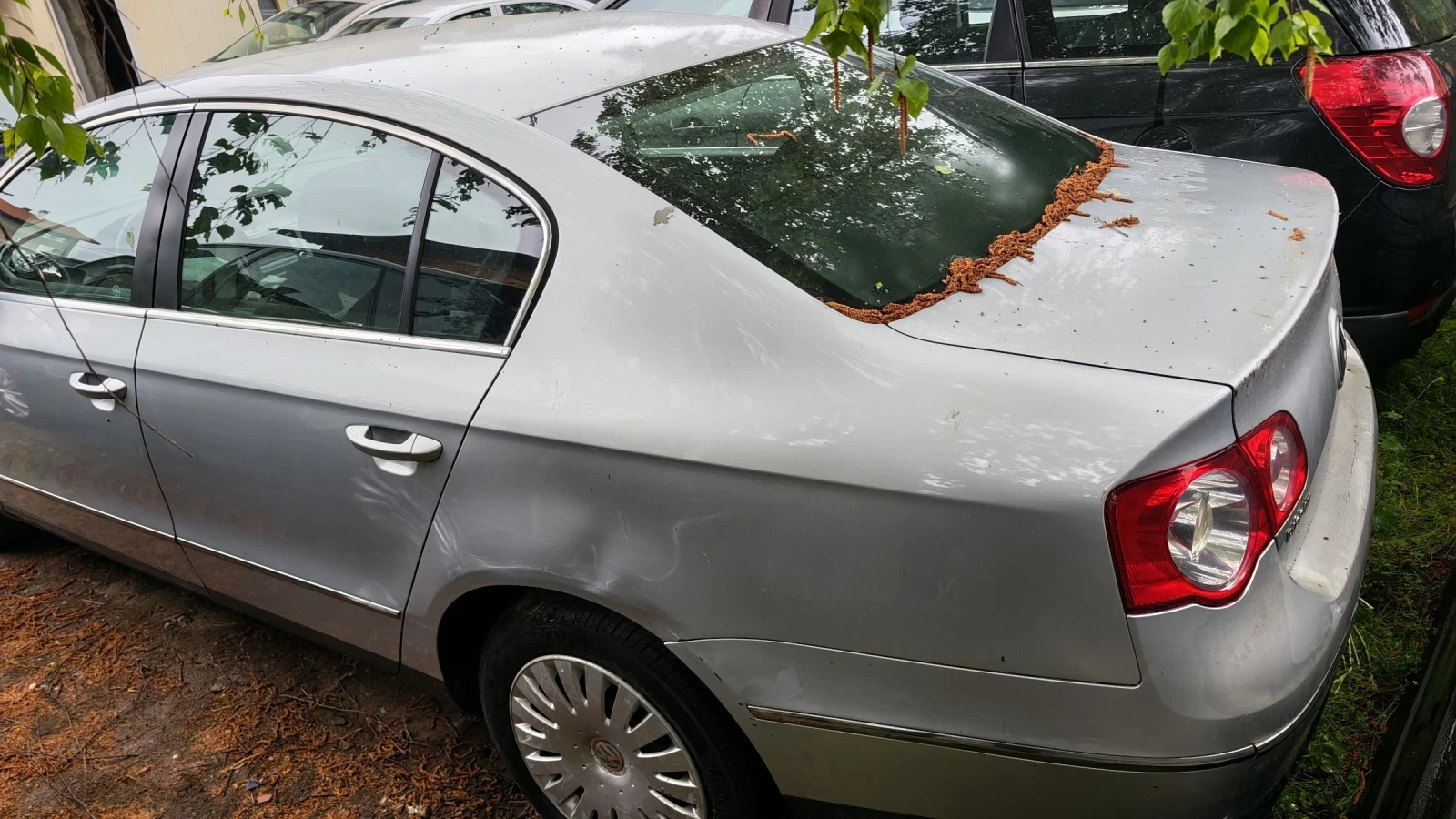 VW Passat 1.9tdi 77kw | Mobile.bg � ����������� 6
