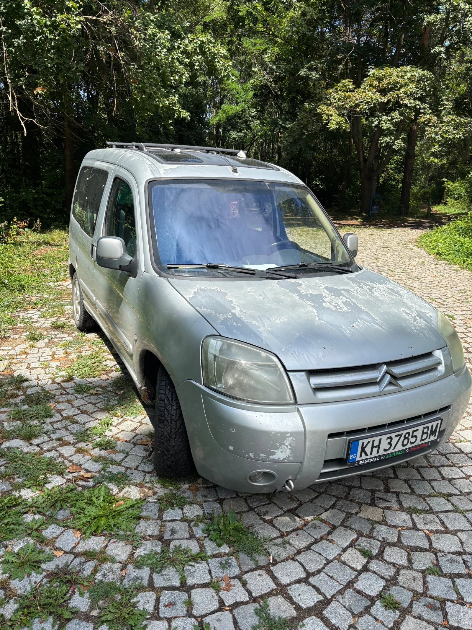 Citroen Berlingo Citroen Berlingo 2.0 HDI MULTISPACE