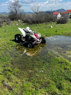 Yamaha Raptor, снимка 2