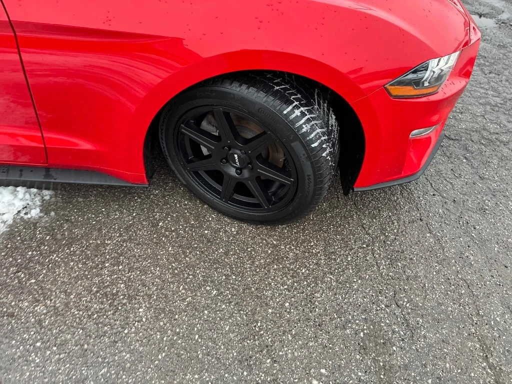 Ford Mustang 2019 EcoBoost * CARFAX * ��� ������������ ������ | Mobile.bg � ����������� 6