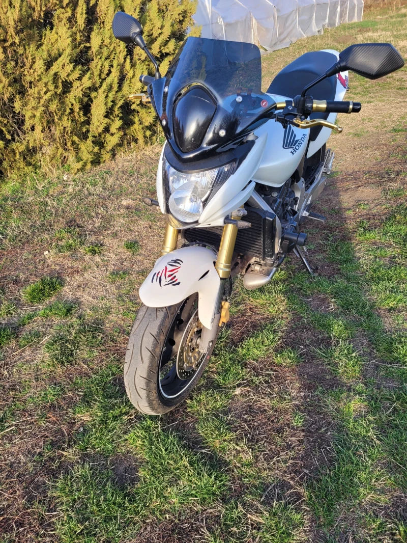 Honda Hornet Cb600, снимка 2 - Мотоциклети и мототехника - 51633245