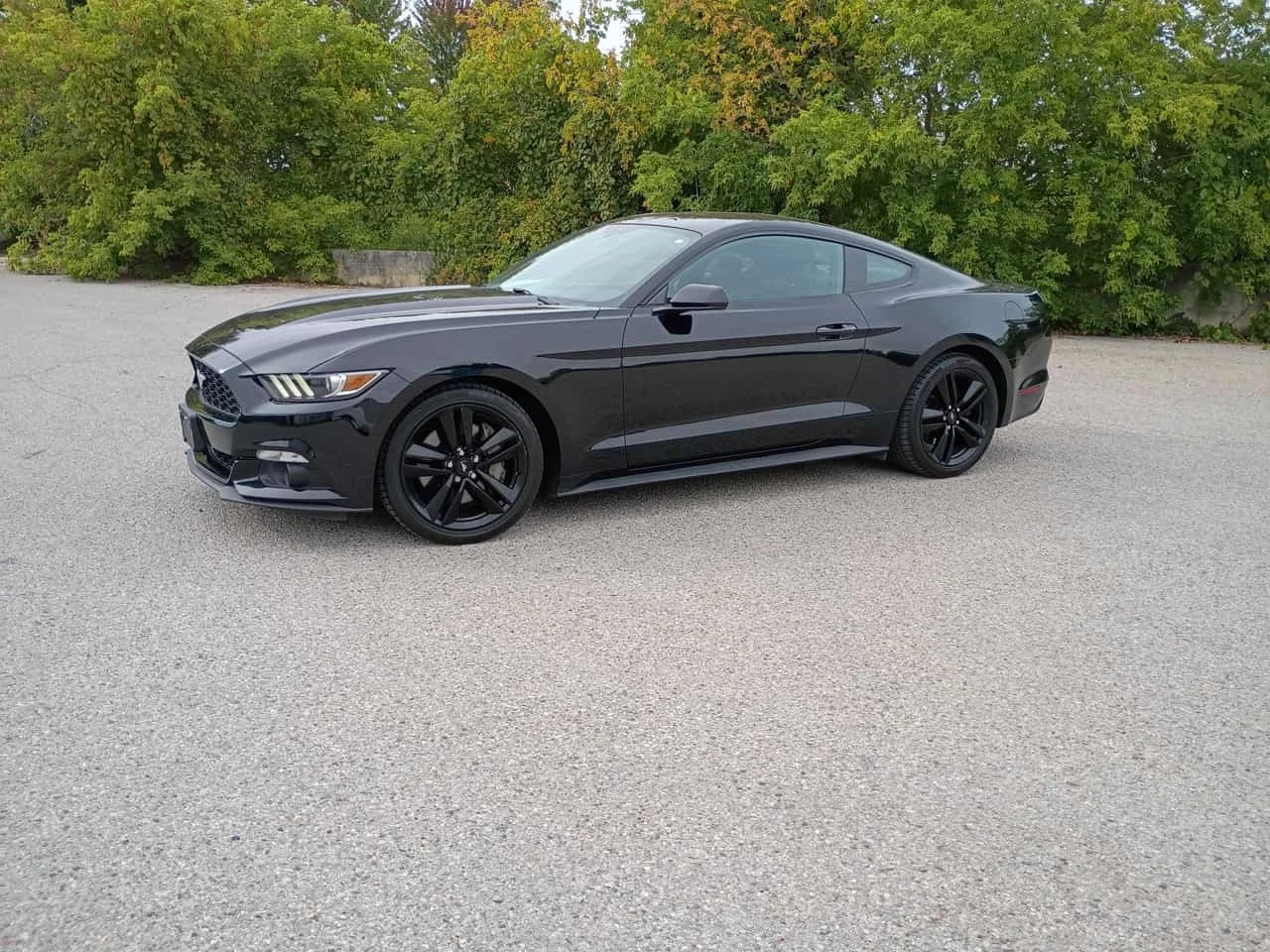 Ford Mustang * EcoBoost * CARFAX * БЕЗ ПЪРВОНАЧАЛНА ВНОСКА, снимка 2 - Автомобили и джипове - 56243088