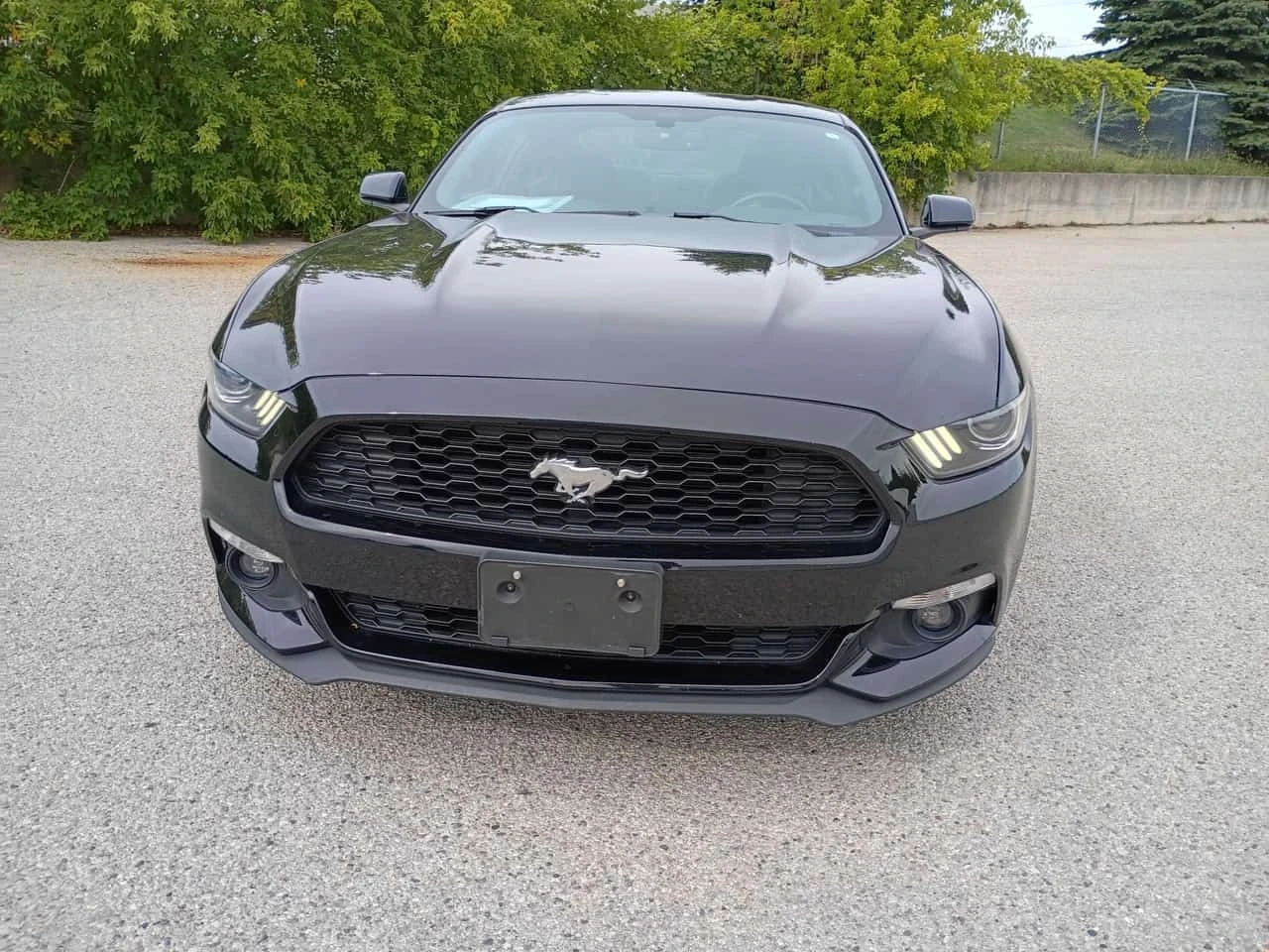 Ford Mustang * EcoBoost * CARFAX * БЕЗ ПЪРВОНАЧАЛНА ВНОСКА, снимка 6 - Автомобили и джипове - 56243088