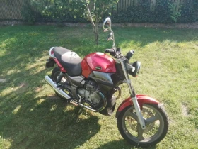 Moto Guzzi Breva, снимка 4