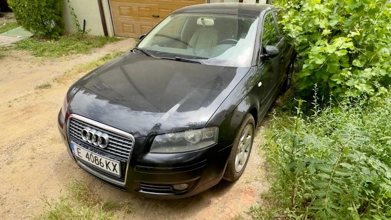 Audi A3 1.9 TDI, снимка 2 - Автомобили и джипове - 47490544