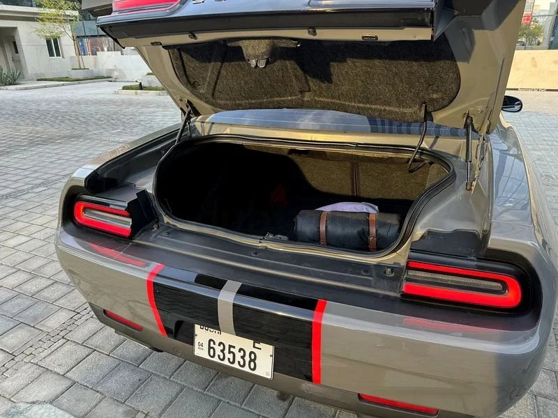 Dodge Challenger  - изображение 6