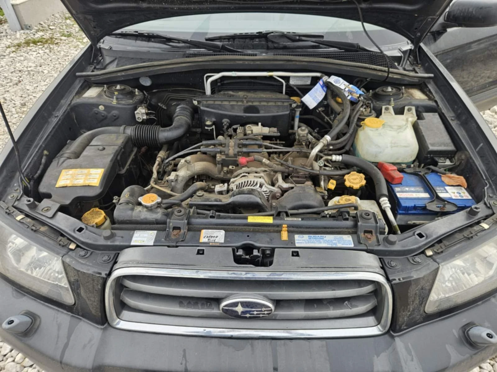 Subaru Forester 4x4 | Mobile.bg � ����������� 13