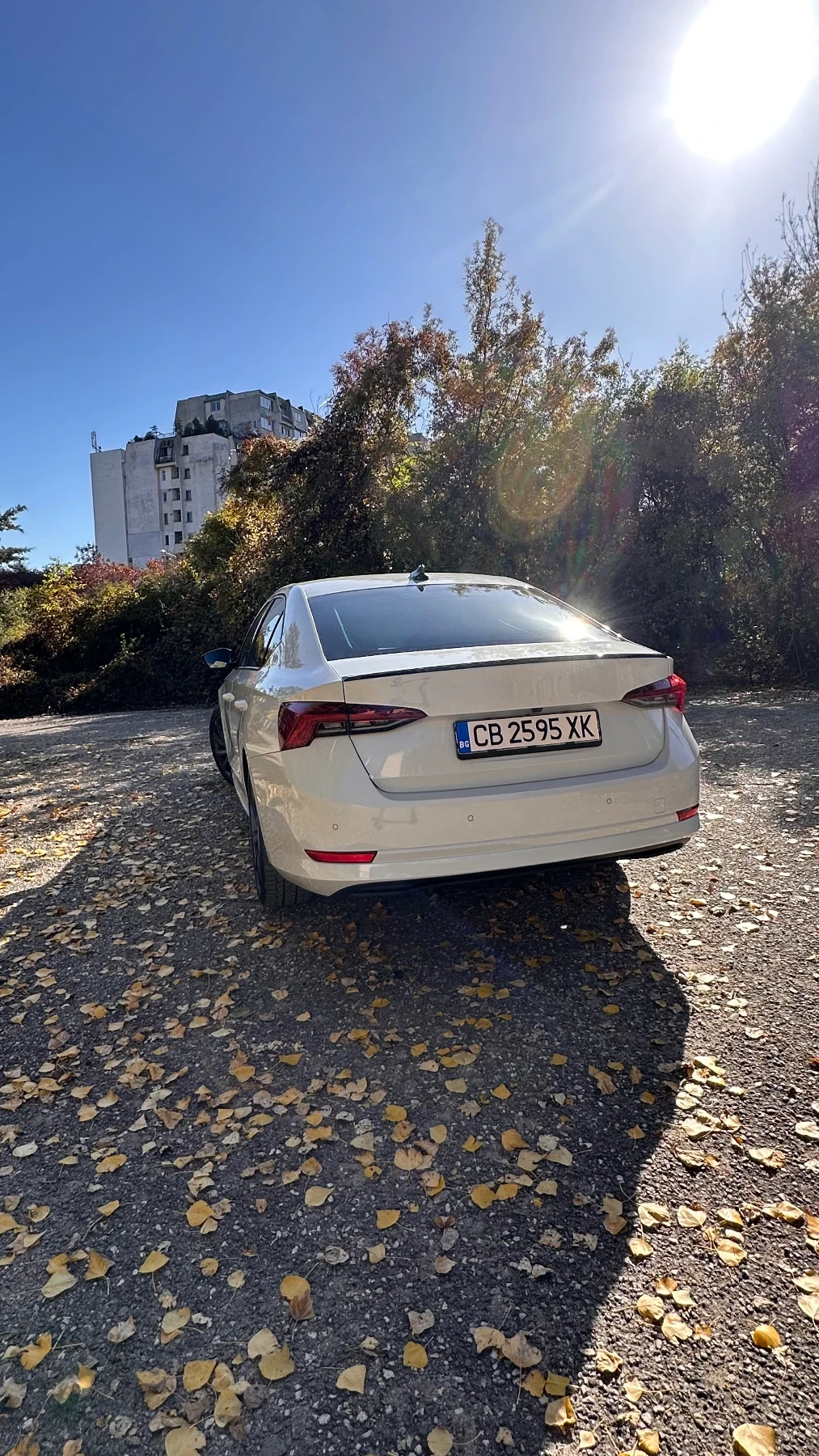 Skoda Octavia IV 1.5 TSI mHEV, 7DSG, пакет Edition, Гаранция - изображение 4