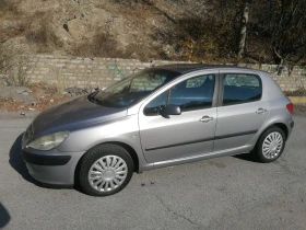  Peugeot 307