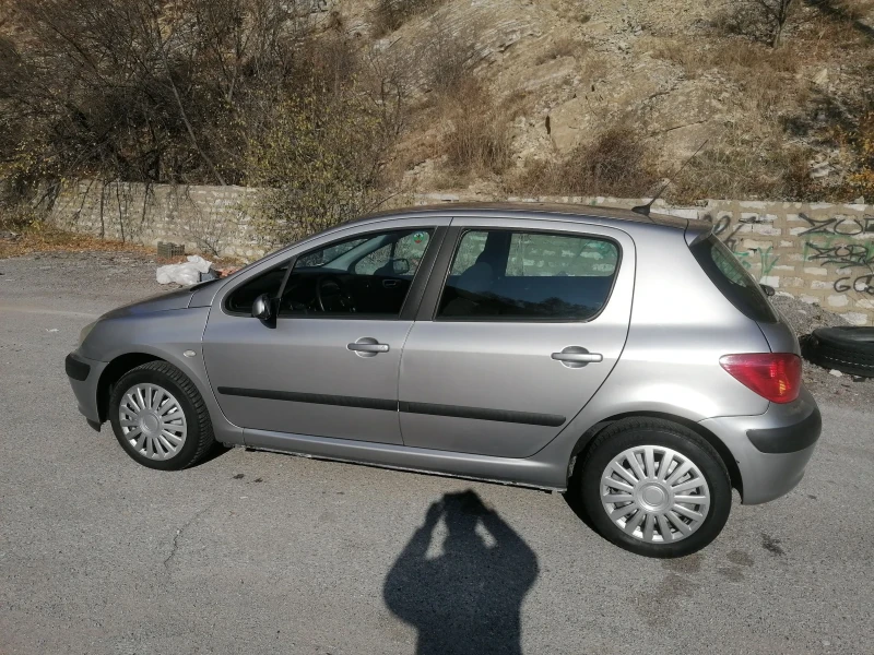 Peugeot 307, снимка 4 - Автомобили и джипове - 48036683