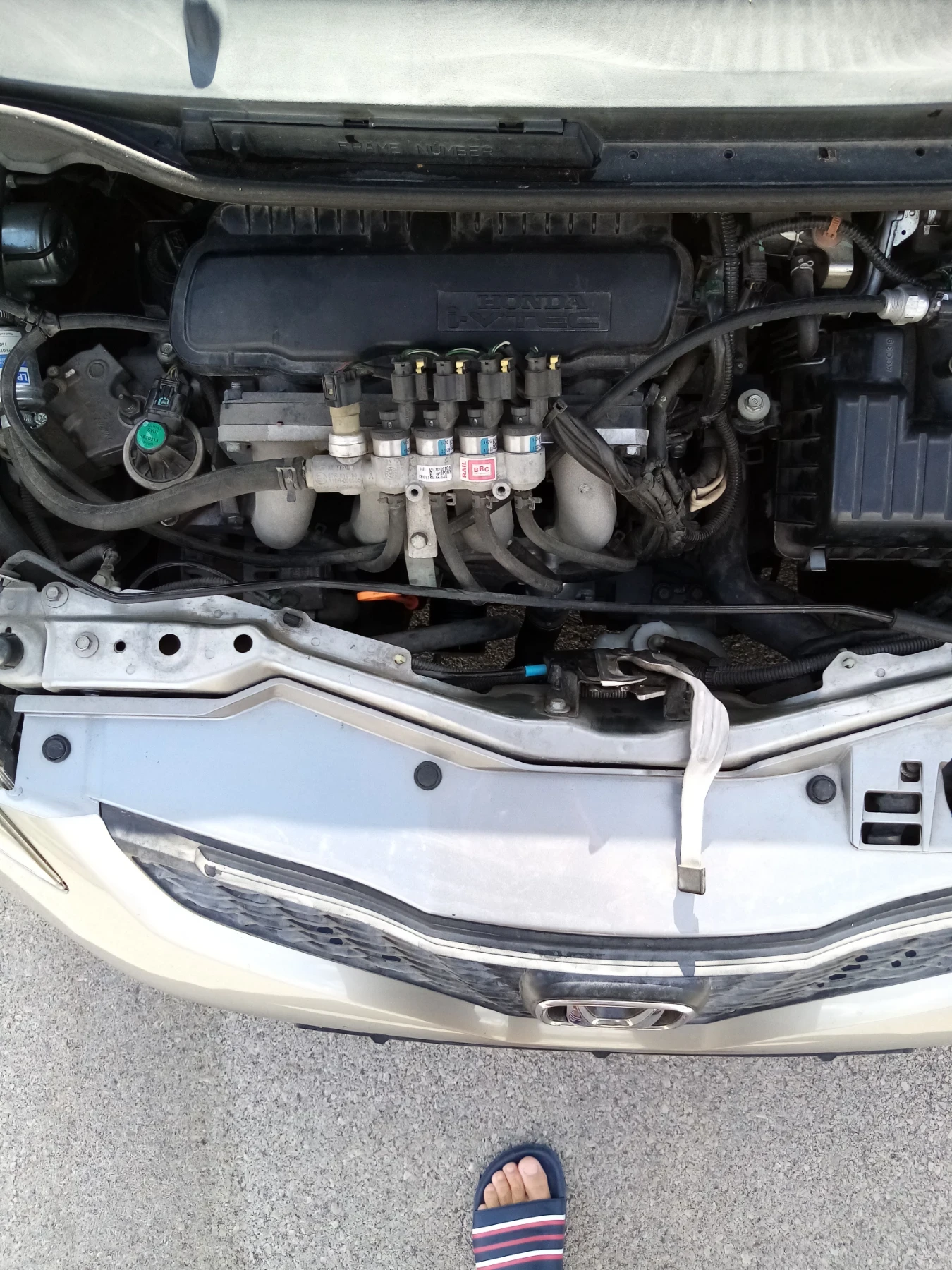 Honda Jazz Elegance, снимка 8 - Автомобили и джипове - 55953692