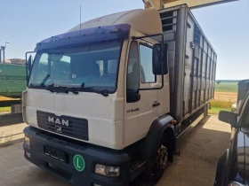     Man 14284