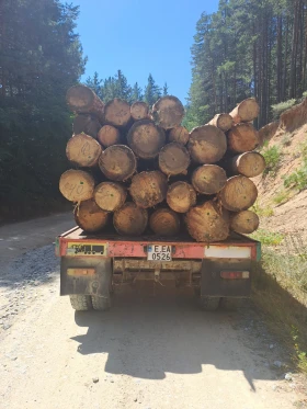 За камион Ceylan Treyler, снимка 7