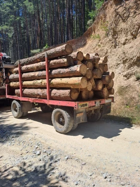 �� ������ Ceylan Treyler | Mobile.bg � ����� ������ 9