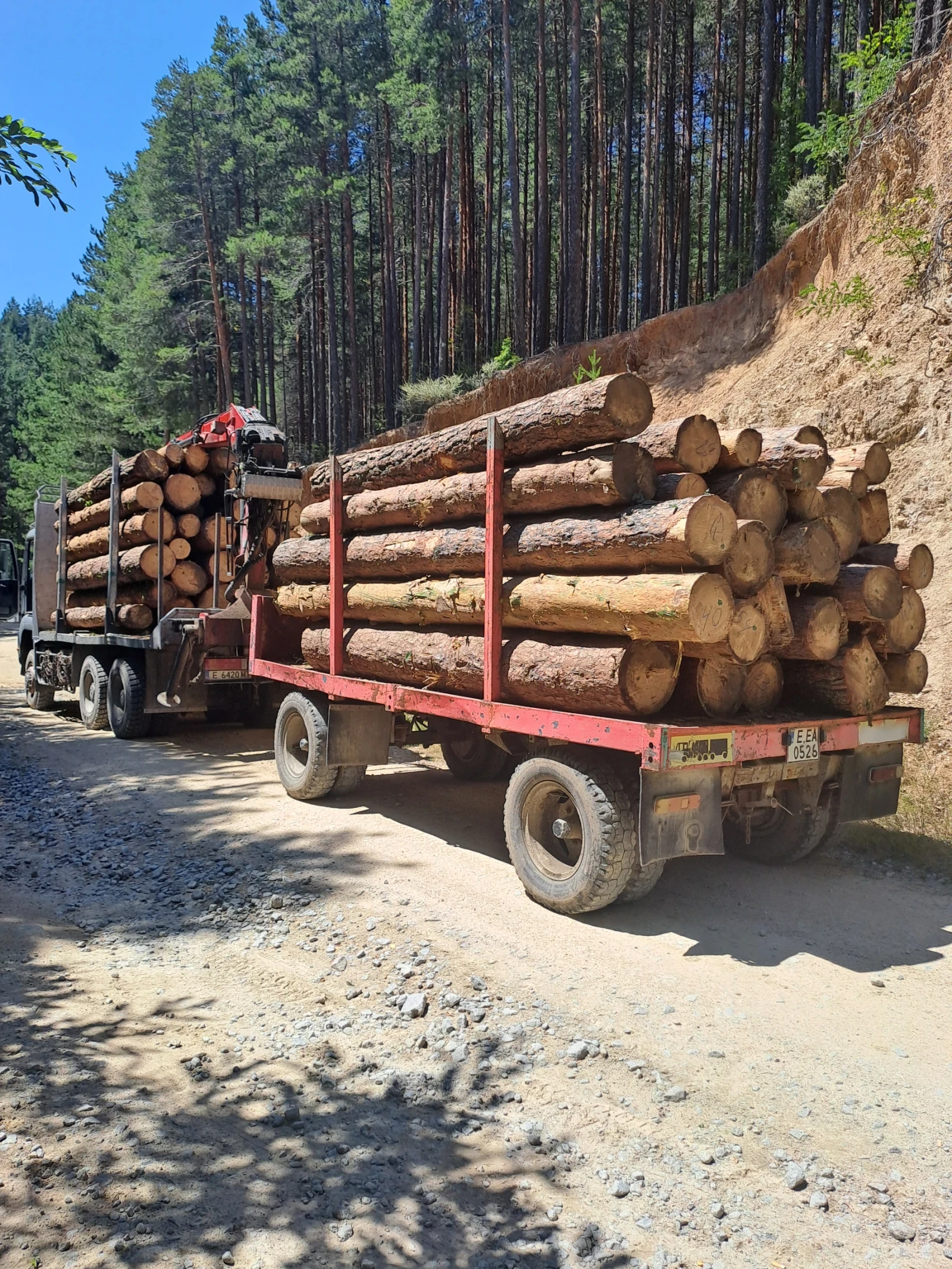 За камион Ceylan Treyler, снимка 6 - Ремаркета - 53726796