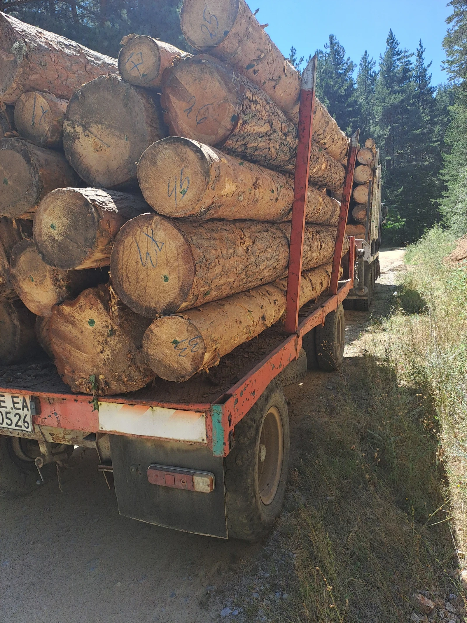 За камион Ceylan Treyler, снимка 8 - Ремаркета - 53726796